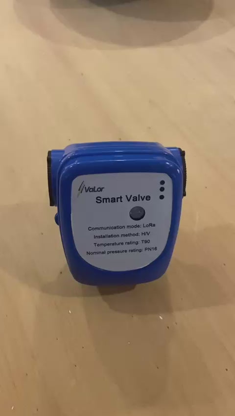 LoRa Electric Ball Valve